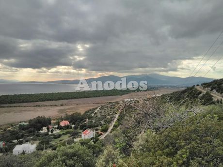 Land plot 1.120sqm for sale-Marathonas » Dikastika