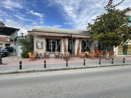 Επιχείρηση 85τ.μ. για πώληση-Νέσσωνας » Συκούριο