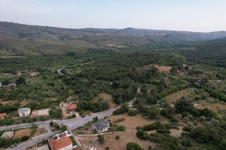 Αγροτεμάχια 5.355τ.μ. για πώληση-Θάσος » Θεολόγος