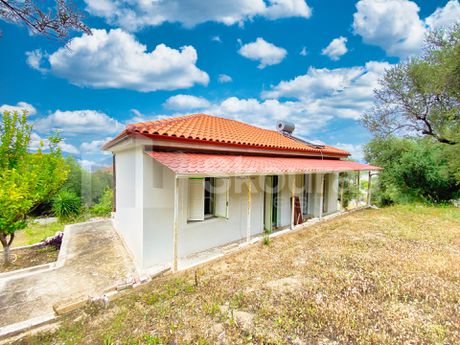 Μονοκατοικία 62τ.μ. για πώληση-Ακράτα