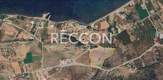 Αγροτεμάχια 20.460 τ.μ. για πώληση, Ν. Λέσβου, Λέσβος - Πέτρα-thumb-8