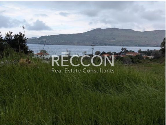 Αγροτεμάχια 20.460 τ.μ. για πώληση, Ν. Λέσβου, Λέσβος - Πέτρα