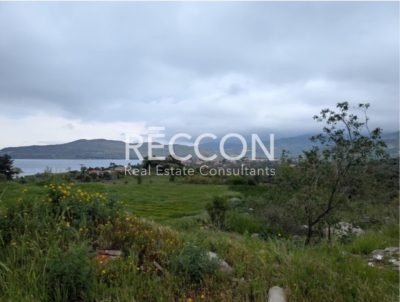 Αγροτεμάχια 20.460 τ.μ. πρός πώληση, Ν. Λέσβου, Λέσβος - Πέτρα