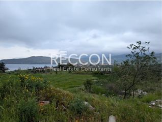 Αγροτεμάχια 20.460 τ.μ. για πώληση, Ν. Λέσβου, Λέσβος - Πέτρα-thumb-4