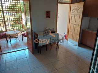 Studio / γκαρσονιέρα 32 τ.μ. για ενοικίαση, Αχαΐα, Πάτρα-thumb-5