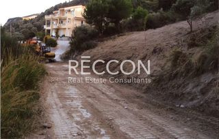 Αγροτεμάχια 4.850 τ.μ. για πώληση, Εύβοια, Κύμη-thumb-1
