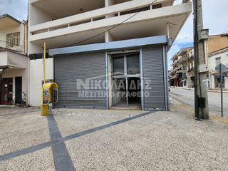 Κατάστημα 680 τ.μ. για πώληση, Ν. Σερρών, Νιγρίτα-thumb-4