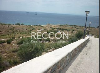 Αγροτεμάχια 10.000 τ.μ. για πώληση, Εύβοια, Κάρυστος-thumb-6