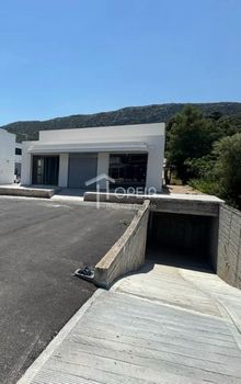 Κατάστημα 600τ.μ. για ενοικίαση-Μαρκόπουλο » Πόρτο ράφτη
