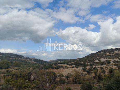 Αγροτεμάχια 800.000 τ.μ. για πώληση