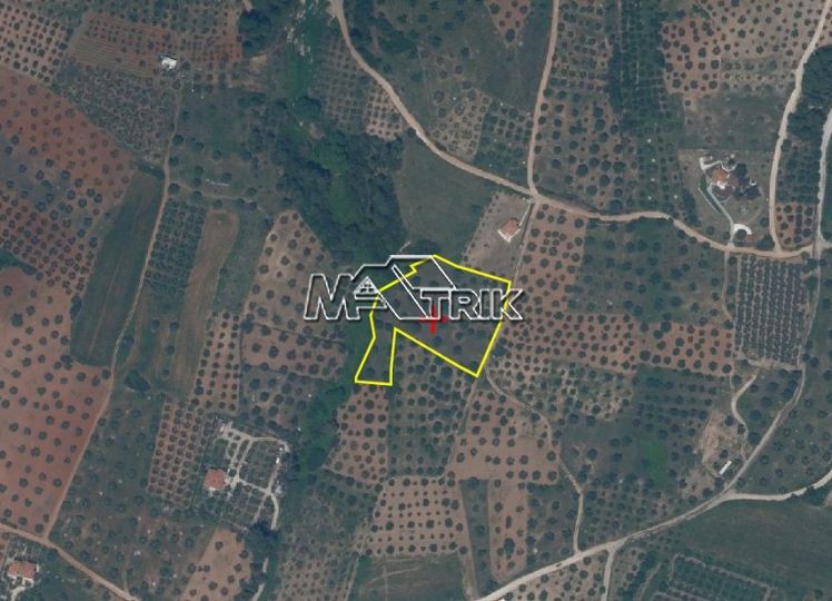 Αγροτεμάχια 6.700 τ.μ. προς πώληση, Νικήτη