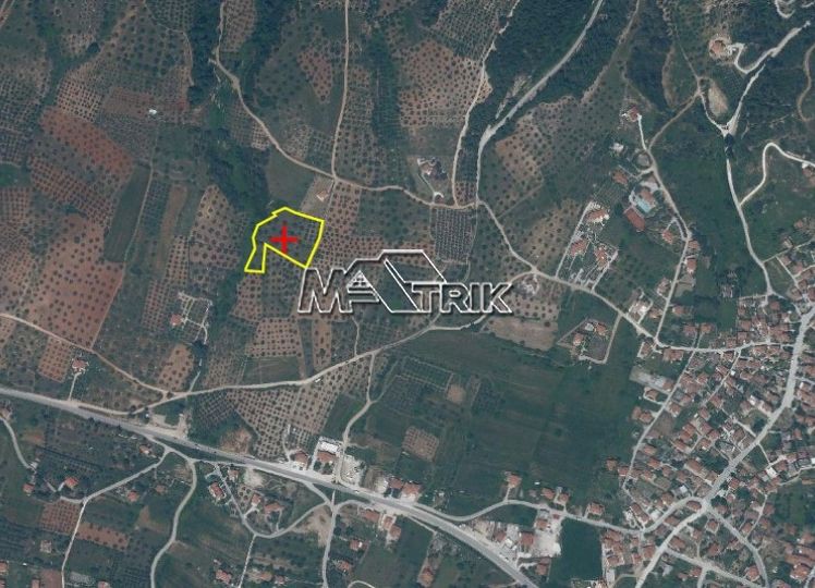 Αγροτεμάχια 6.700 τ.μ. προς πώληση, Νικήτη