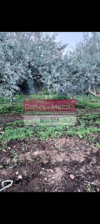 Αγροτεμάχια 5.617 τ.μ. προς πώληση, Ποτιστήρια