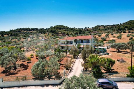 Μονοκατοικία 405τ.μ. για πώληση-Κρανίδι