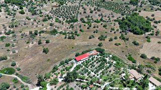 Αγροτεμάχια 22.112,55 τ.μ. για πώληση, Αργολίδα, Κρανίδι-thumb-19