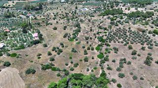 Αγροτεμάχια 22.112,55 τ.μ. για πώληση, Αργολίδα, Κρανίδι-thumb-11