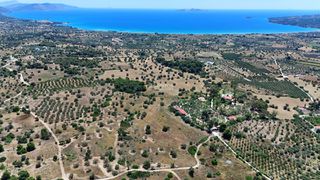 Αγροτεμάχια 22.112,55 τ.μ. για πώληση, Αργολίδα, Κρανίδι-thumb-2