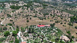 Αγροτεμάχια 22.112,55 τ.μ. για πώληση, Αργολίδα, Κρανίδι-thumb-8