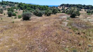 Αγροτεμάχια 22.112,55 τ.μ. για πώληση, Αργολίδα, Κρανίδι-thumb-24