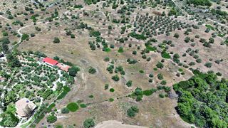Αγροτεμάχια 22.112,55 τ.μ. για πώληση, Αργολίδα, Κρανίδι-thumb-21