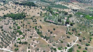 Αγροτεμάχια 22.112,55 τ.μ. για πώληση, Αργολίδα, Κρανίδι-thumb-16