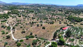 Αγροτεμάχια 22.112,55 τ.μ. για πώληση, Αργολίδα, Κρανίδι-thumb-3