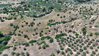 Αγροτεμάχια 22.112,55 τ.μ. για πώληση, Αργολίδα, Κρανίδι-thumb-13