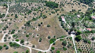 Αγροτεμάχια 22.112,55 τ.μ. για πώληση, Αργολίδα, Κρανίδι-thumb-17