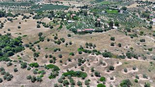 Αγροτεμάχια 22.112,55 τ.μ. για πώληση, Αργολίδα, Κρανίδι-thumb-15