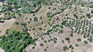 Αγροτεμάχια 22.112,55 τ.μ. για πώληση, Αργολίδα, Κρανίδι-thumb-12