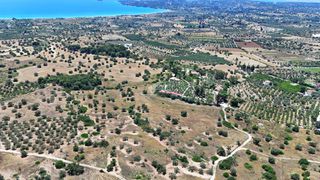 Αγροτεμάχια 22.112,55 τ.μ. για πώληση, Αργολίδα, Κρανίδι-thumb-4