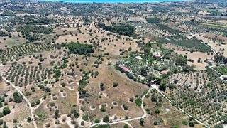 Αγροτεμάχια 22.112,55 τ.μ. για πώληση, Αργολίδα, Κρανίδι-thumb-6