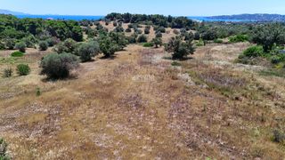 Αγροτεμάχια 22.112,55 τ.μ. για πώληση, Αργολίδα, Κρανίδι-thumb-25