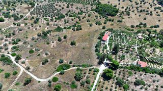 Αγροτεμάχια 22.112,55 τ.μ. για πώληση, Αργολίδα, Κρανίδι-thumb-18