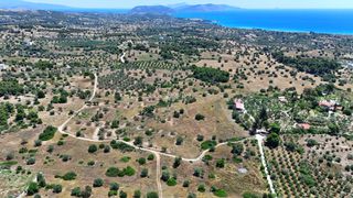 Αγροτεμάχια 22.112,55 τ.μ. για πώληση, Αργολίδα, Κρανίδι-thumb-1