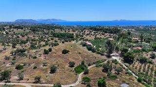 Αγροτεμάχια 22.112,55 τ.μ. για πώληση, Αργολίδα, Κρανίδι-thumb-5