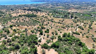 Αγροτεμάχια 6.505 τ.μ. για πώληση, Αργολίδα, Κρανίδι-thumb-10