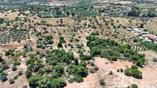 Αγροτεμάχια 6.505 τ.μ. για πώληση, Αργολίδα, Κρανίδι-thumb-7