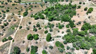 Αγροτεμάχια 6.505 τ.μ. για πώληση, Αργολίδα, Κρανίδι-thumb-18
