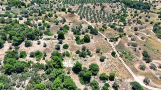 Αγροτεμάχια 6.505 τ.μ. για πώληση, Αργολίδα, Κρανίδι-thumb-13