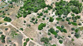 Αγροτεμάχια 6.505 τ.μ. για πώληση, Αργολίδα, Κρανίδι-thumb-17