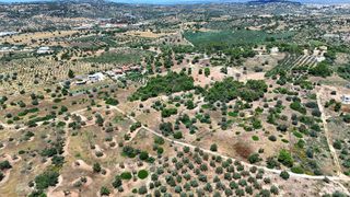 Αγροτεμάχια 6.505 τ.μ. για πώληση, Αργολίδα, Κρανίδι-thumb-4