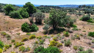 Αγροτεμάχια 6.505 τ.μ. για πώληση, Αργολίδα, Κρανίδι-thumb-3