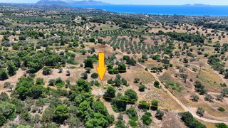 Αγροτεμάχια 6.505 τ.μ. για πώληση, Αργολίδα, Κρανίδι-thumb-8