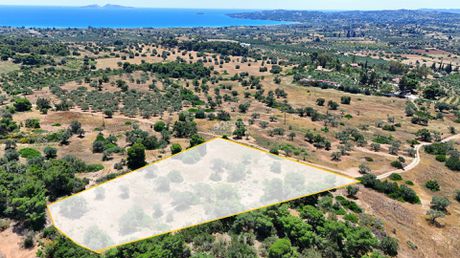 Αγροτεμάχια 6.505τ.μ. για πώληση-Κρανίδι