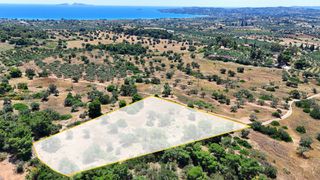 Αγροτεμάχια 6.505 τ.μ. για πώληση