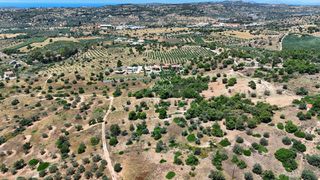 Αγροτεμάχια 6.505 τ.μ. για πώληση, Αργολίδα, Κρανίδι-thumb-5