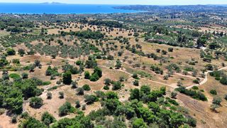 Αγροτεμάχια 6.505 τ.μ. για πώληση, Αργολίδα, Κρανίδι-thumb-11