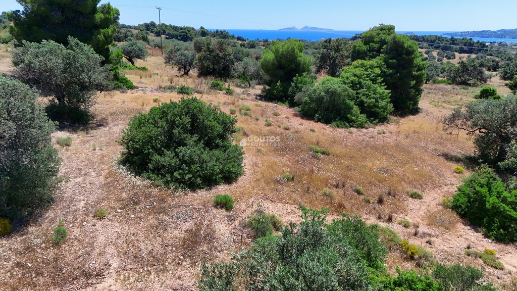 Αγροτεμάχια 6.505 τ.μ. πρός πώληση, Αργολίδα, Κρανίδι