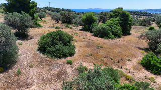 Αγροτεμάχια 6.505 τ.μ. για πώληση, Αργολίδα, Κρανίδι-thumb-1